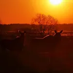 Przy Plazy Ryn (Warmian-Masurian)