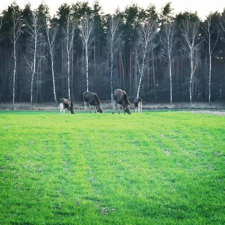 度假居 Przy Plazy 雷恩