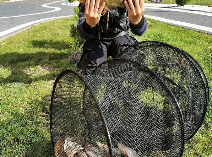 別荘 Przy Plazy リン