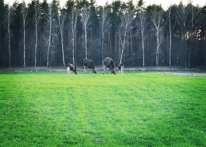 Holiday home Przy Plazy Ryn (Warmian-Masurian)